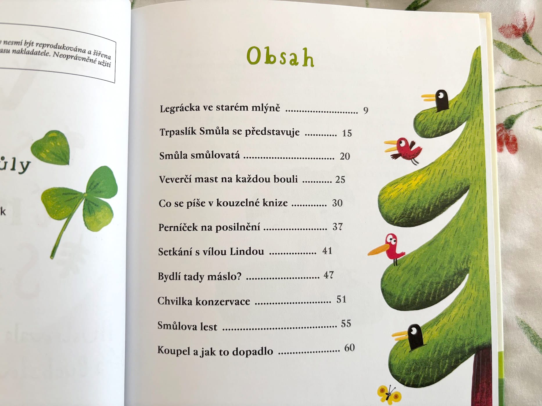Smula Recenze dětské knihy Velká smůla trpaslíka Smůly | Levneknihy.cz