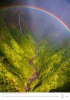 Nature Emotions 2024 - nástěnný kalendář