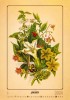 Herbarium 2024 - nástěnný kalendář