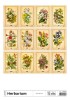 Herbarium 2024 - nástěnný kalendář