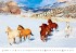 Horses 2024 - nástěnný kalendář