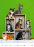 Kittens - Koťátka 2024 - nástěnný kalendář 24x33