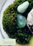 52 projektů z přírodních materiálů - Výzva pro každý den v roce