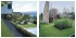 Modern Garden Design