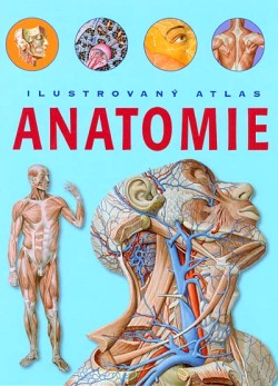 Anatomie Ilustrovaný atlas