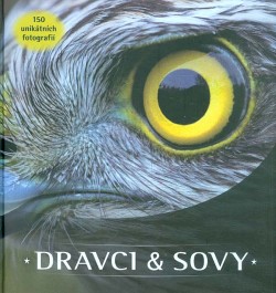 Dravci a sovy