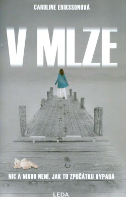 V mlze