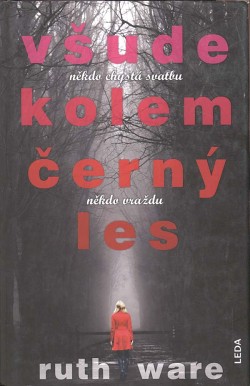 Všude kolem černý les