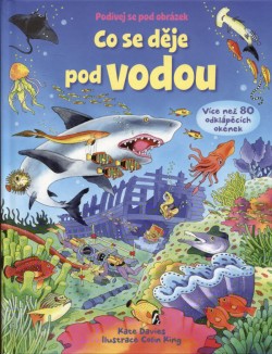 Co se děje pod vodou