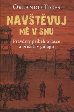 Navštěvuj mě v snu