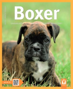 Boxer