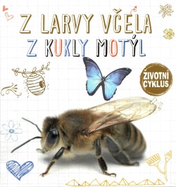 Z larvy včela, z kukly motýl - Životní cyklus