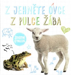 Z jehněte ovce, z pulce žába - Životní cyklus