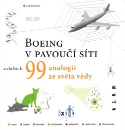 Boeing v pavoučí síti