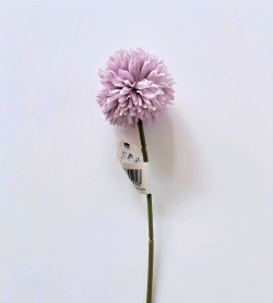 Květ česneku - světle fialový