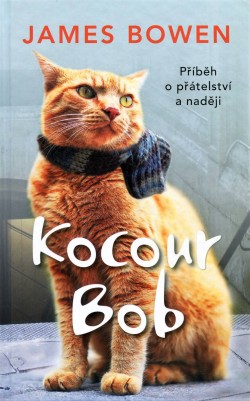 Kocour Bob