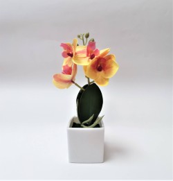 MR086 Orchidej v květináči