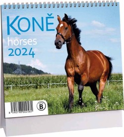 Koně 2024 - stolní mini kalendář