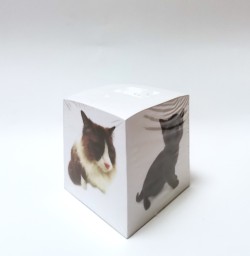 Poznámkové papírky kočka
