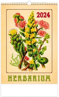 Herbarium 2024 - nástěnný kalendář