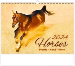 Horses 2024 - nástěnný kalendář