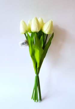 Tulipány puget 7 květů krémové