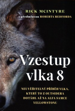 Vzestup vlka 8