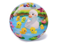 Míč 23cm kačenky v síťce