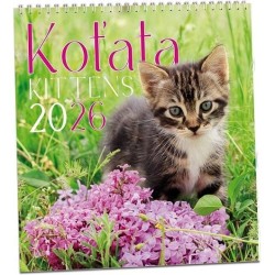 Koťata 2026 - nástěnný kalendář