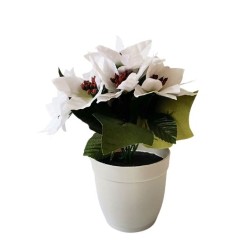 Vánoční hvězda v květináči