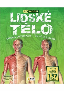 Lidské tělo 3D model