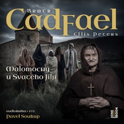 Malomocný u Svatého Jiljí