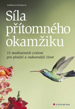 Síla přítomného okamžiku