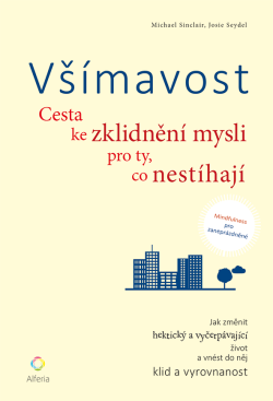 Všímavost