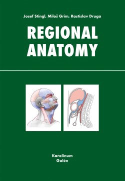 Regional anatomy