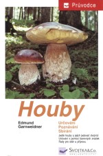 Houby