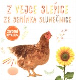 Z vejce slepice, ze semínka slunečnice - Životní cyklus