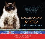 Dalajlamova kočka a síla meditace