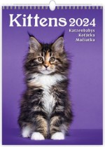 Kittens - Koťátka 2024 - nástěnný kalendář 24x33