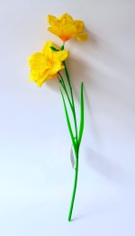 Narcisky 3 květy žlutá barva