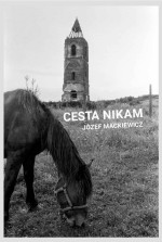 Cesta nikam