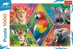 Puzzle 1000D Exotická zvířata