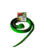 Jungle Expedition had 65cm