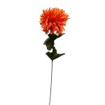 Chryzantéma květ 9cm, výška 50cm