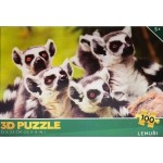 Puzzle 3D – Lemuři