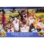 Puzzle 3D - Smějící se kočky
