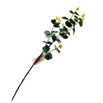 Eukalyptus 67cm