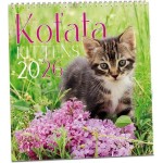 Koťata 2026 - nástěnný kalendář
