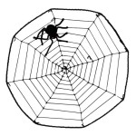 Dekorace pavoučí síť