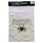 Dekorace na okno pavouk